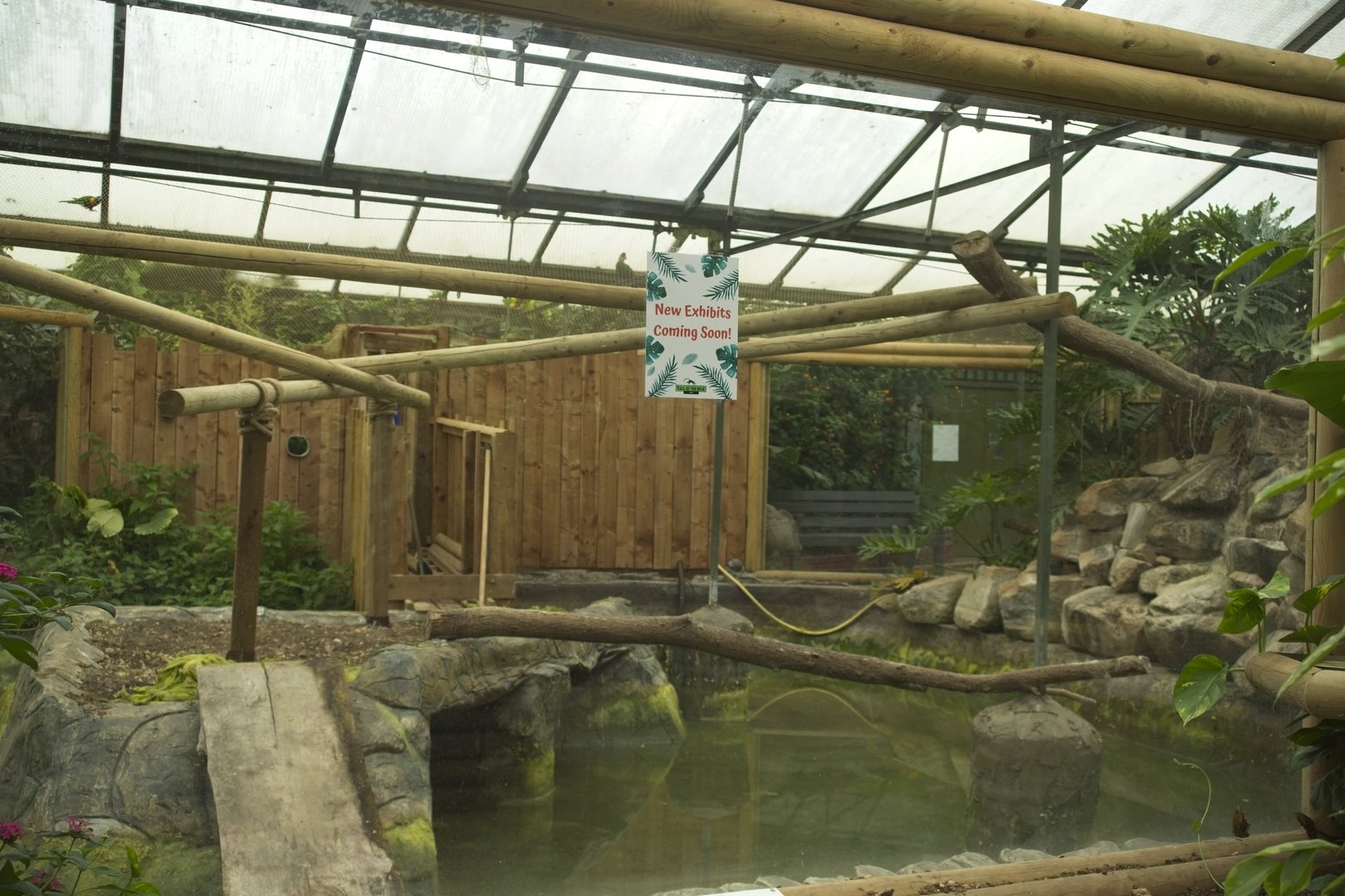 Enclosure (empty) in tropical house.