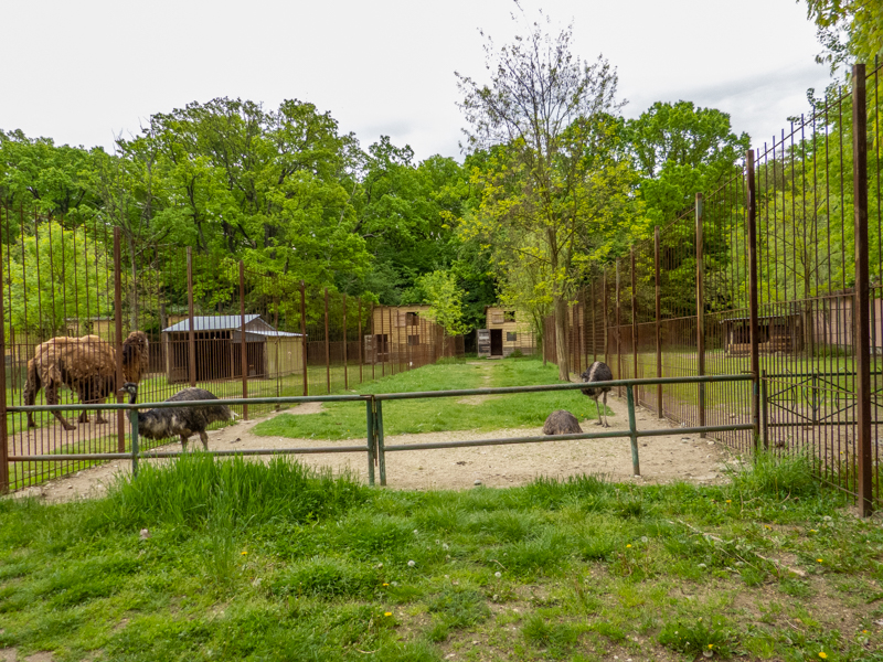 enclosure emu