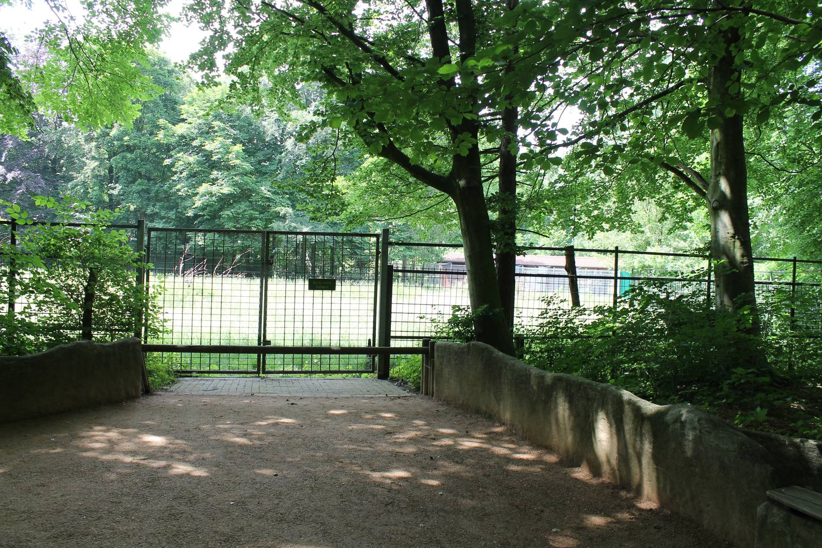 Enclosure Eurasian moose