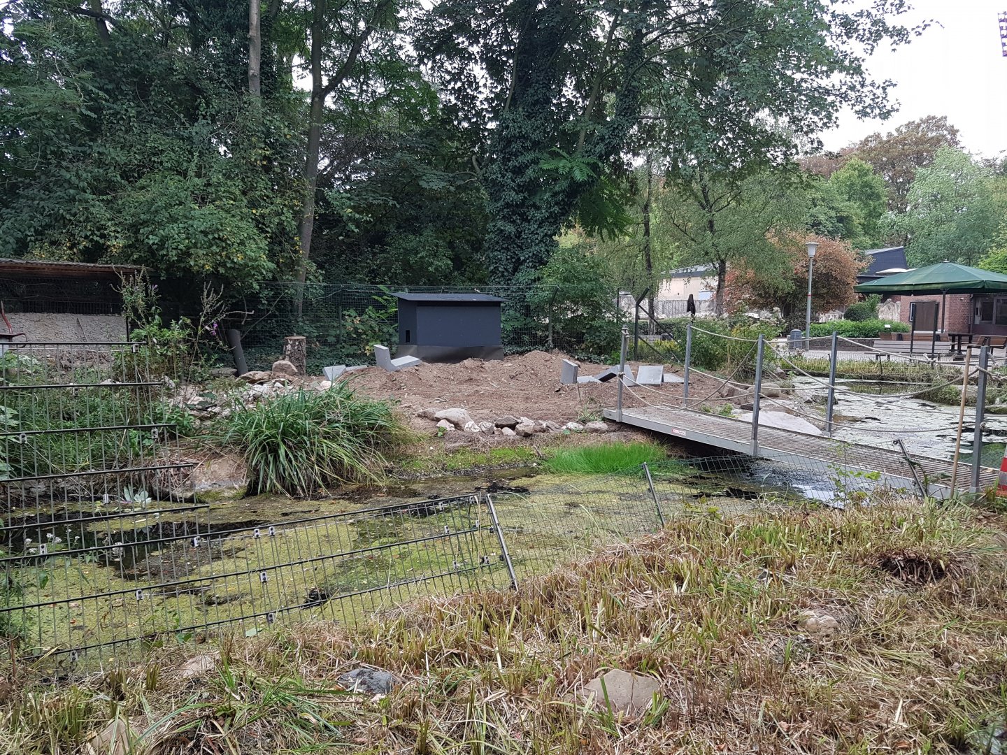 Enclosure Eurasian river otter - under construction