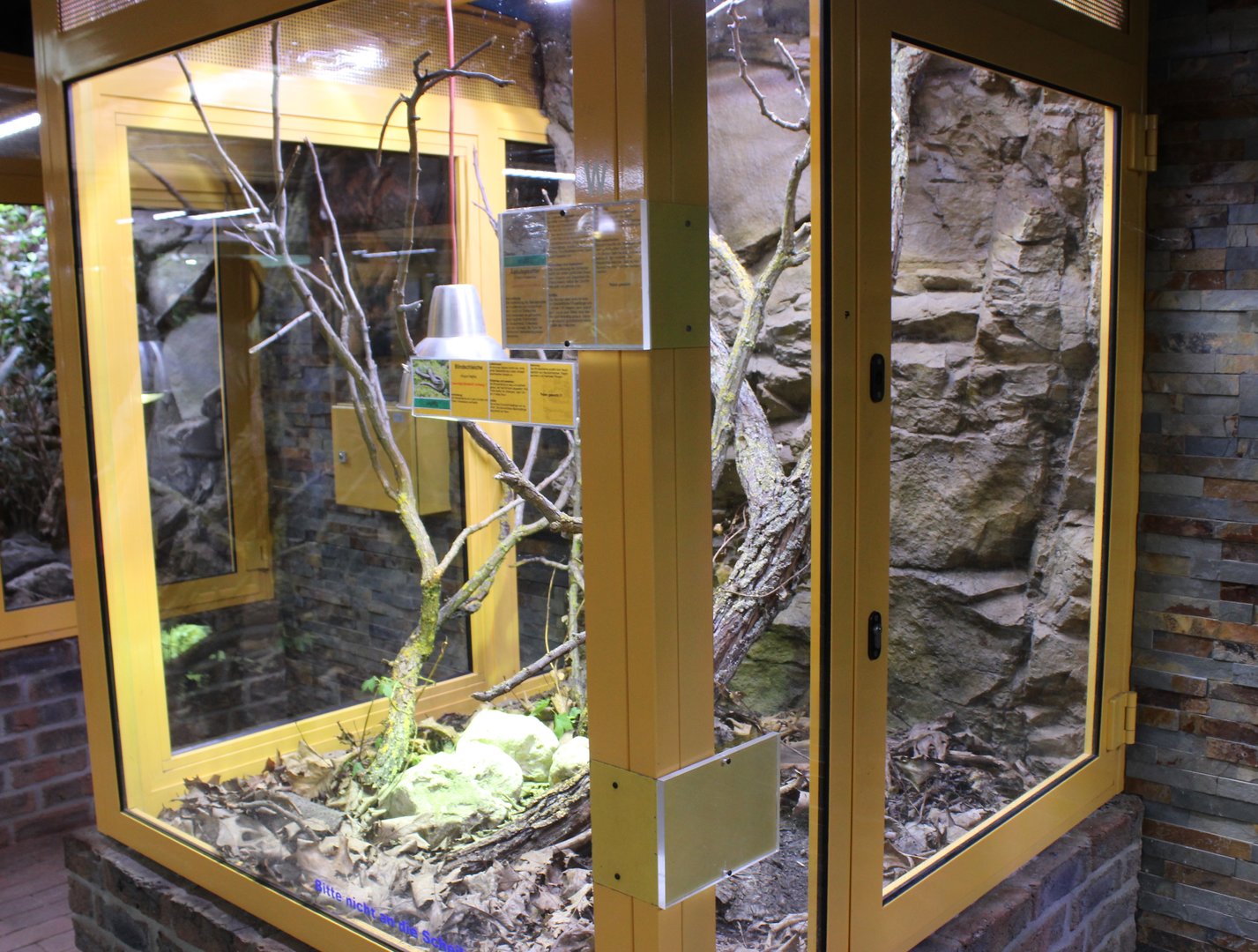 Enclosure European herps