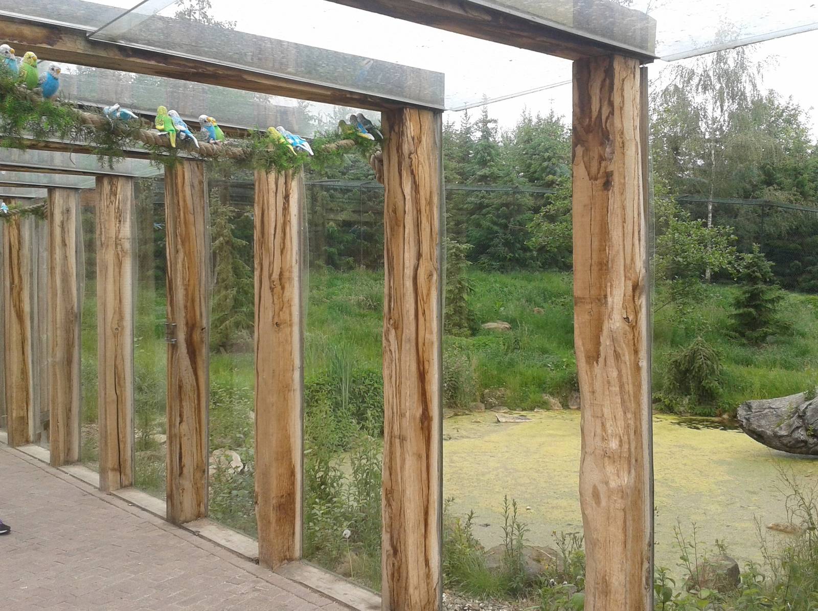 Enclosure European lynx