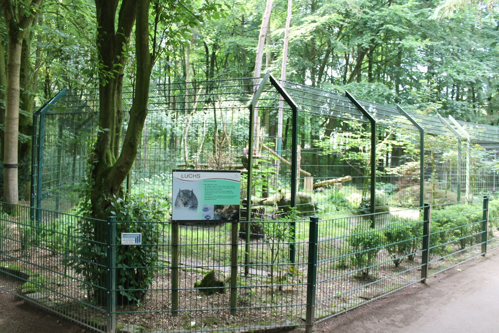 Enclosure European lynx