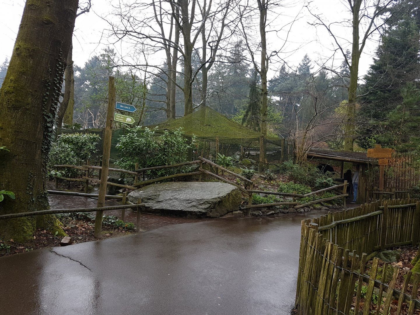 Enclosure European lynx