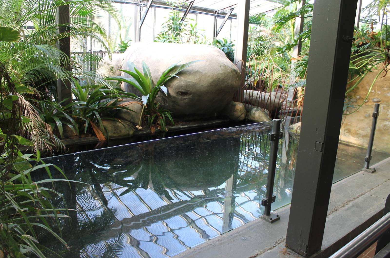 Enclosure False gharial