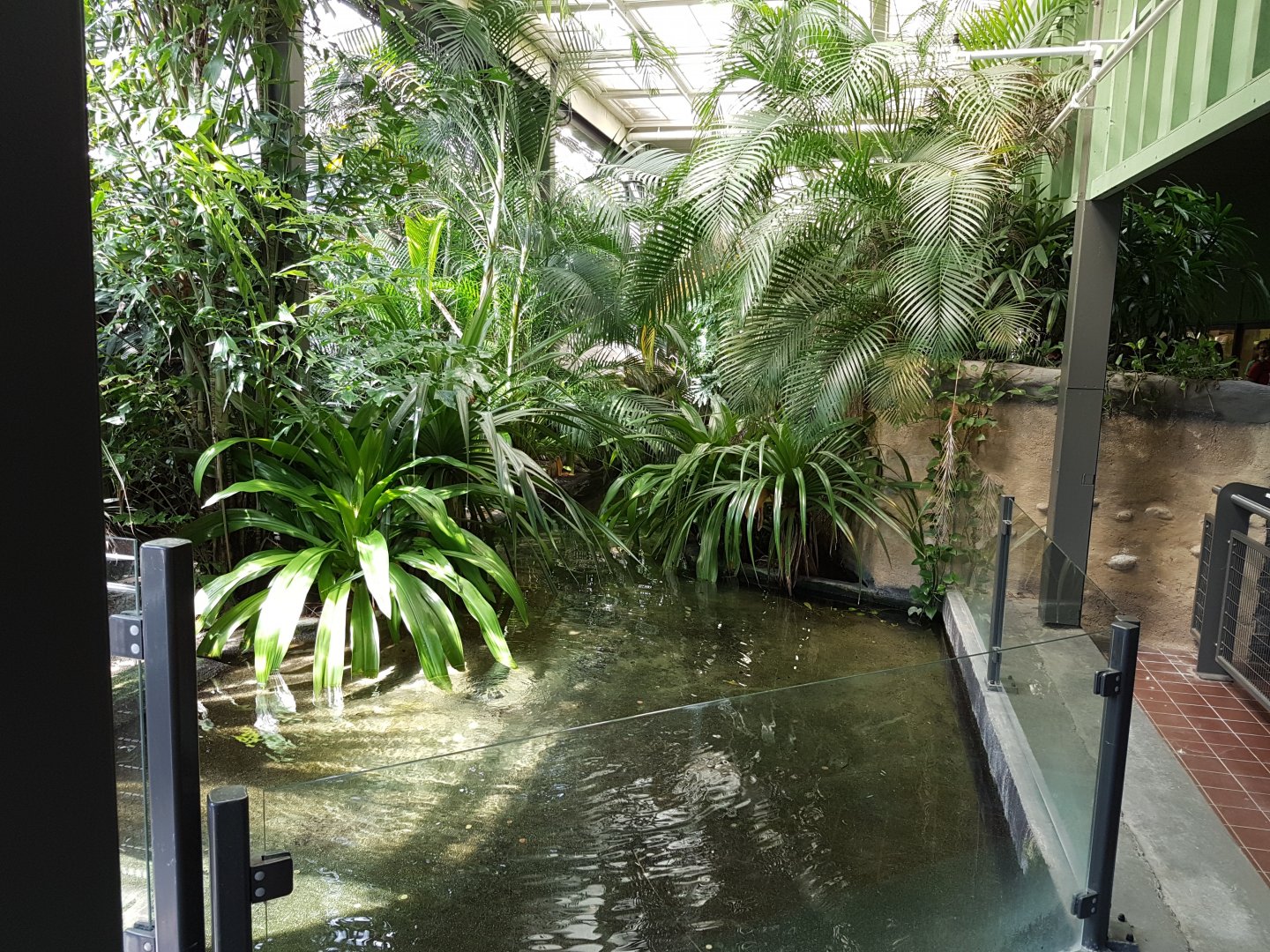 Enclosure False gharial