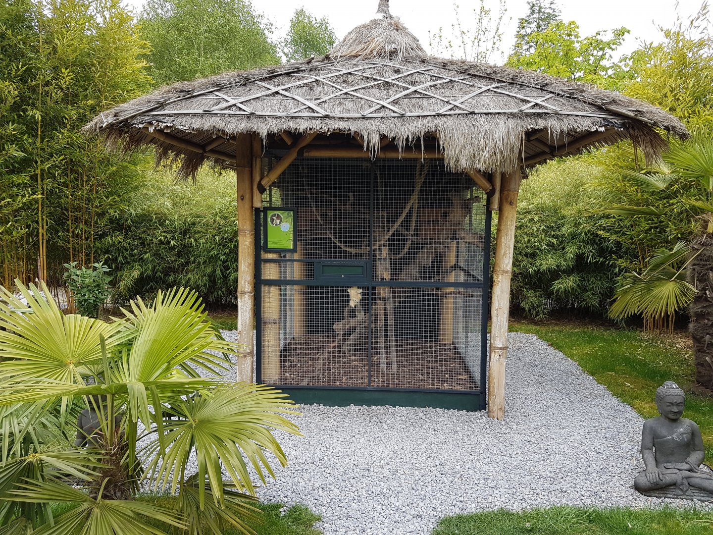 Enclosure Finlayson's squirrel