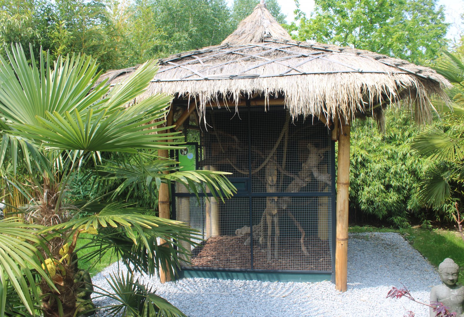 Enclosure Finlayson's squirrel