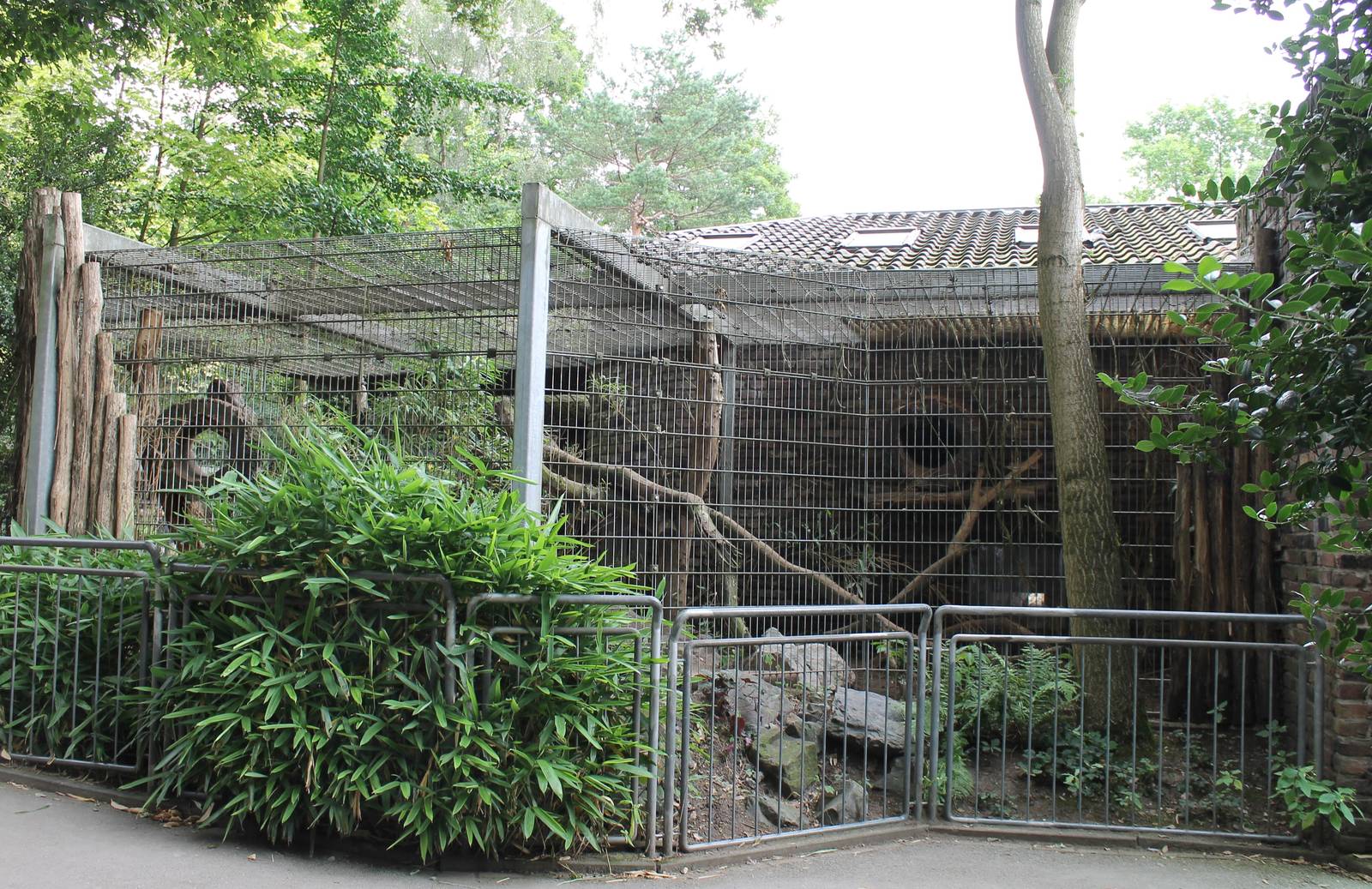 Enclosure Fishing cat