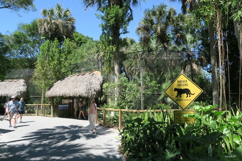 Enclosure Florida Panther