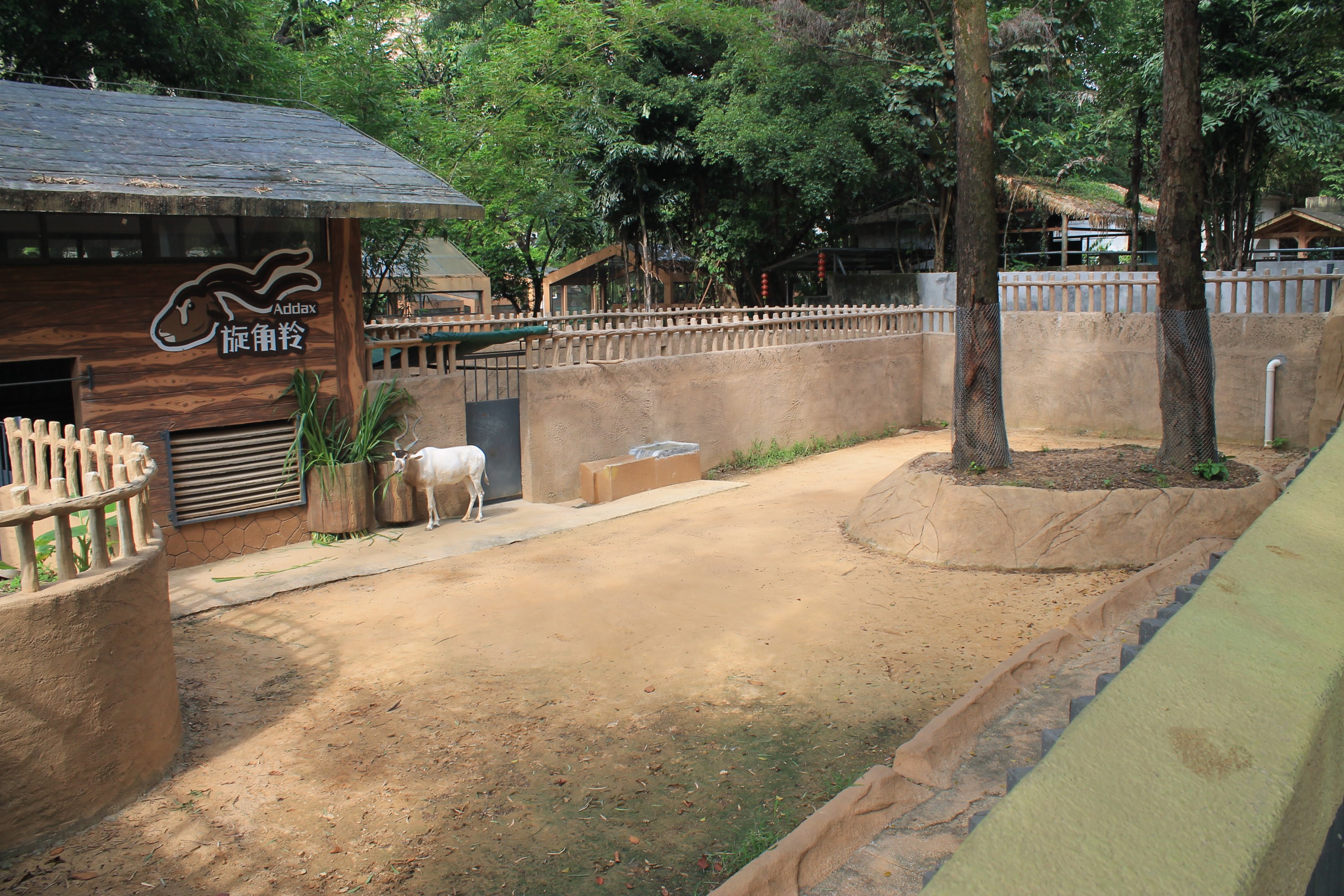 Enclosure for Addax (Addax nasomaculatus)