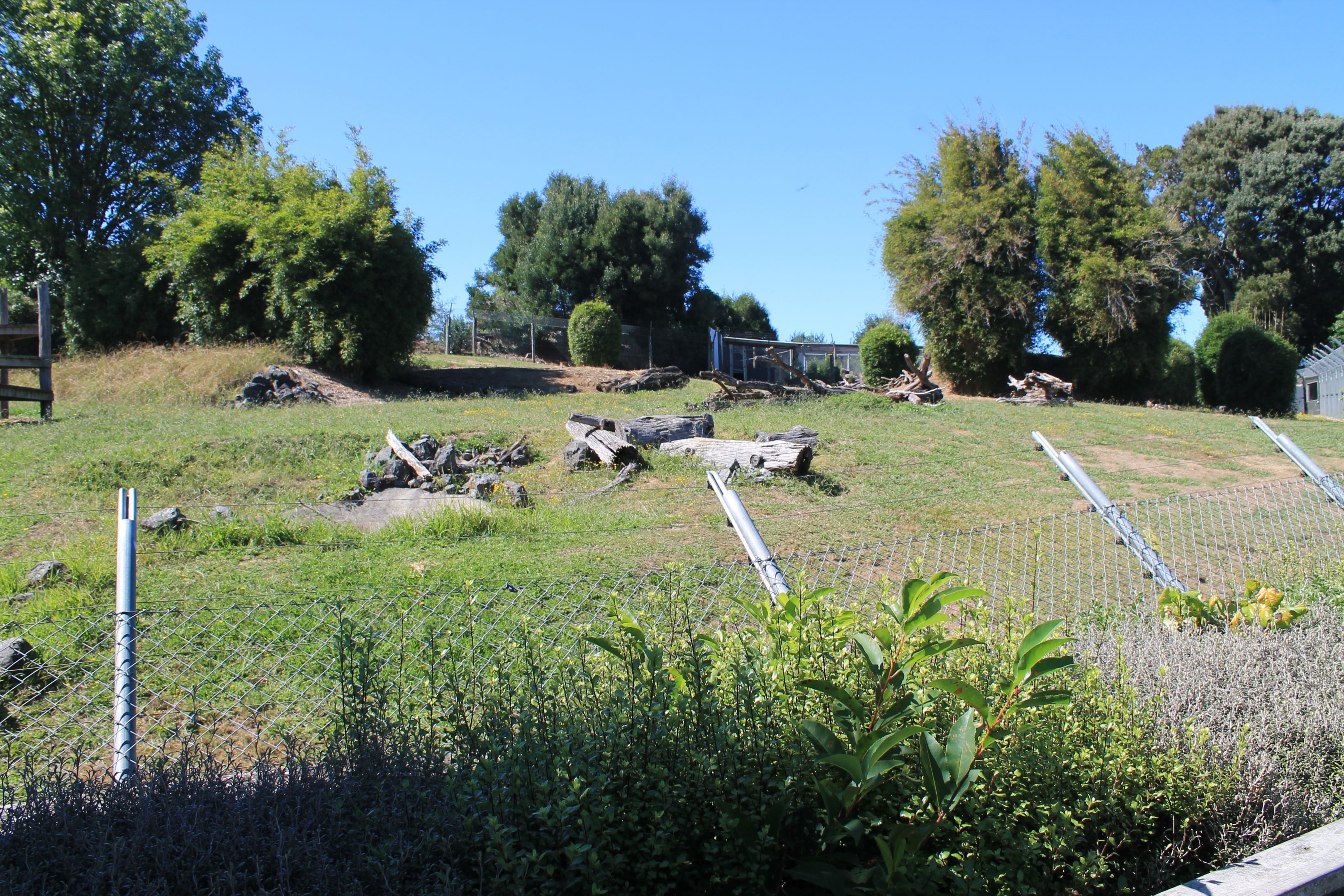 enclosure for African Hunting Dogs