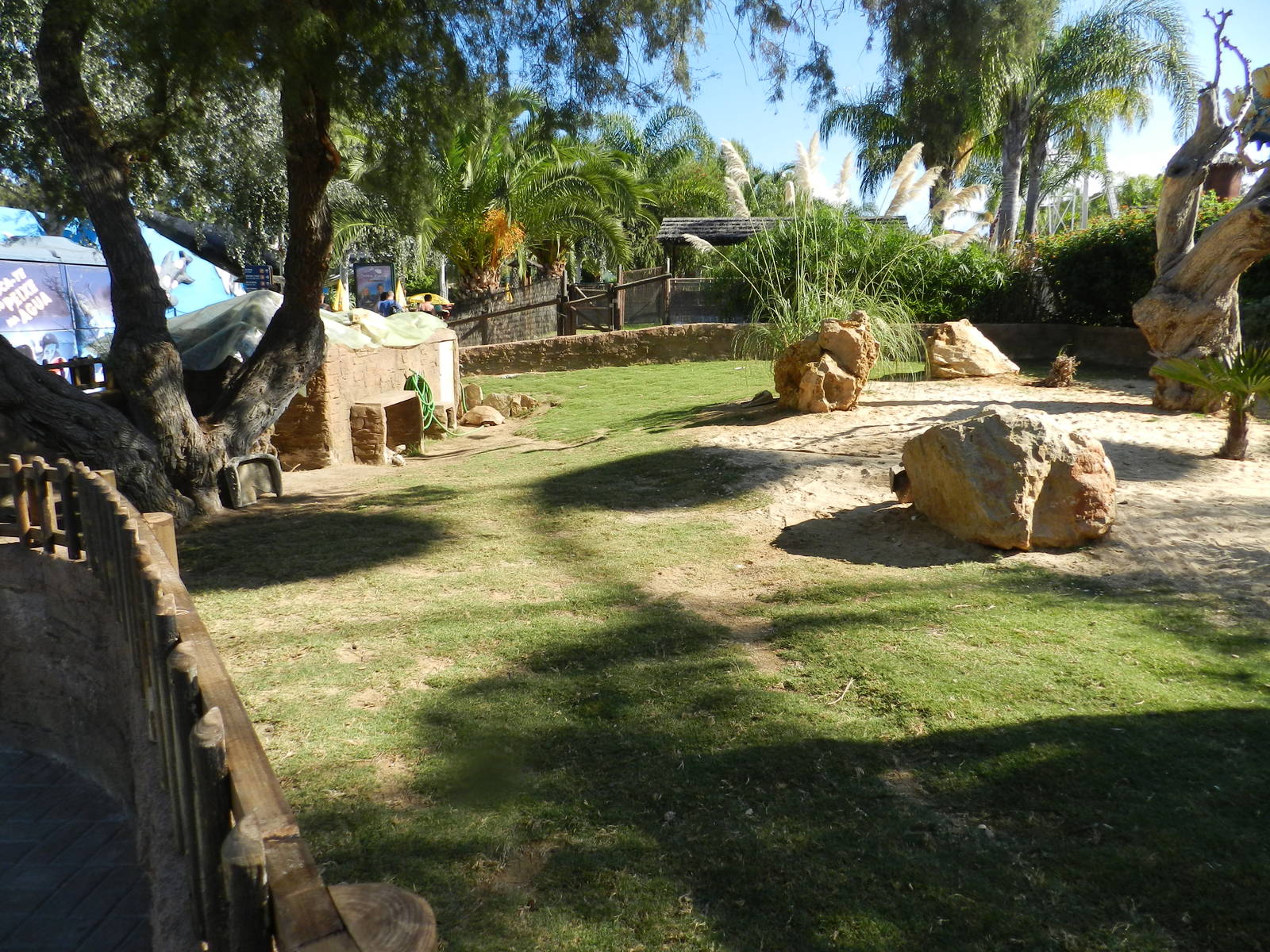 Enclosure for African Spurred tortoise.