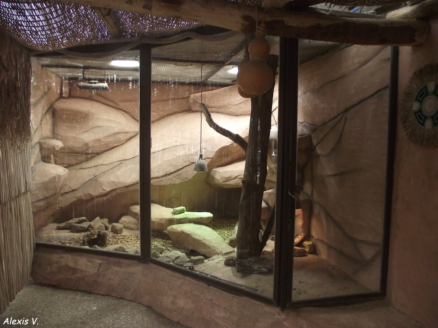 Enclosure for African tortoises - Zooparc de Beauval, 09/08/2025