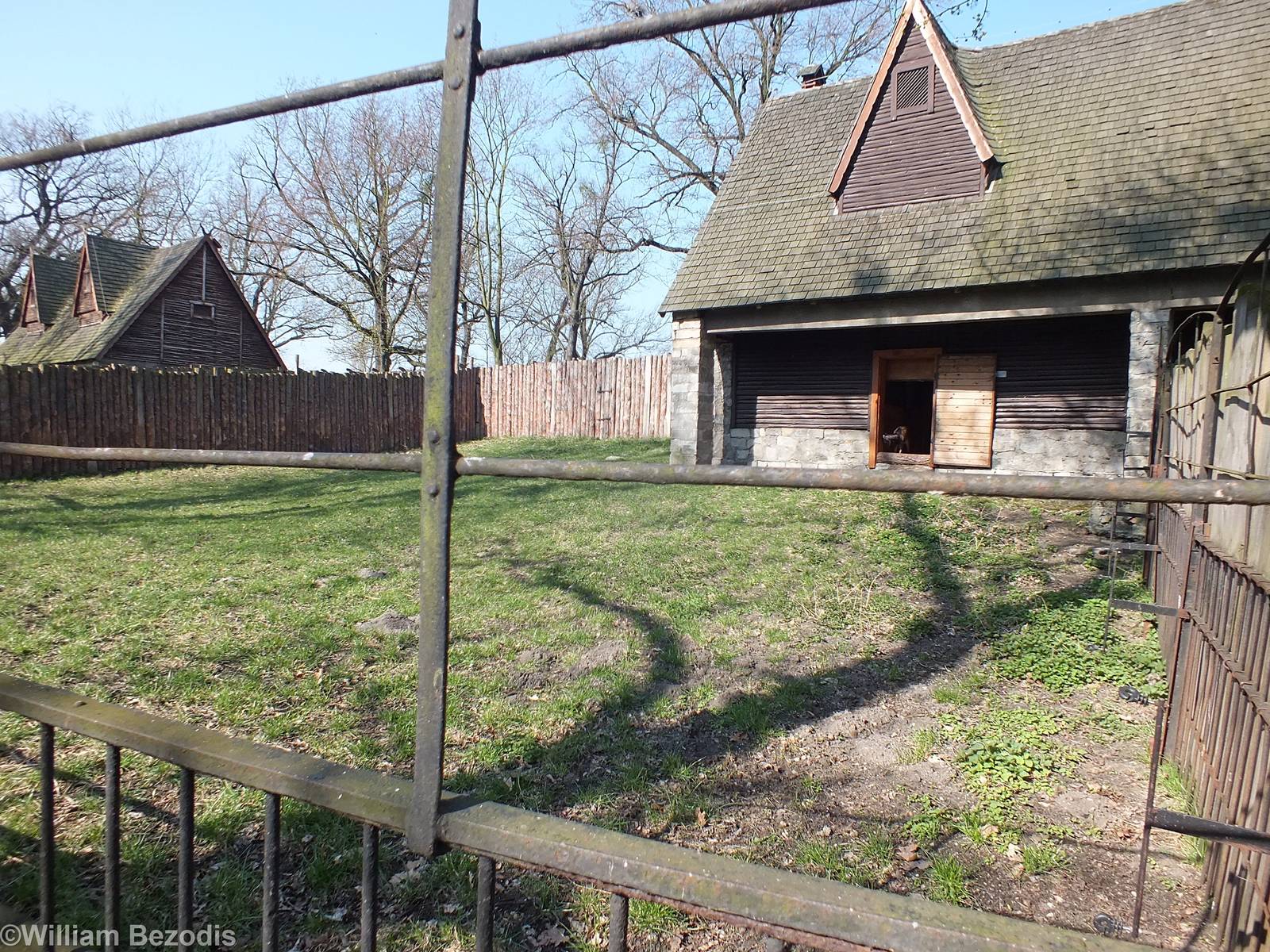 Enclosure for Alfred's Spotted Deer