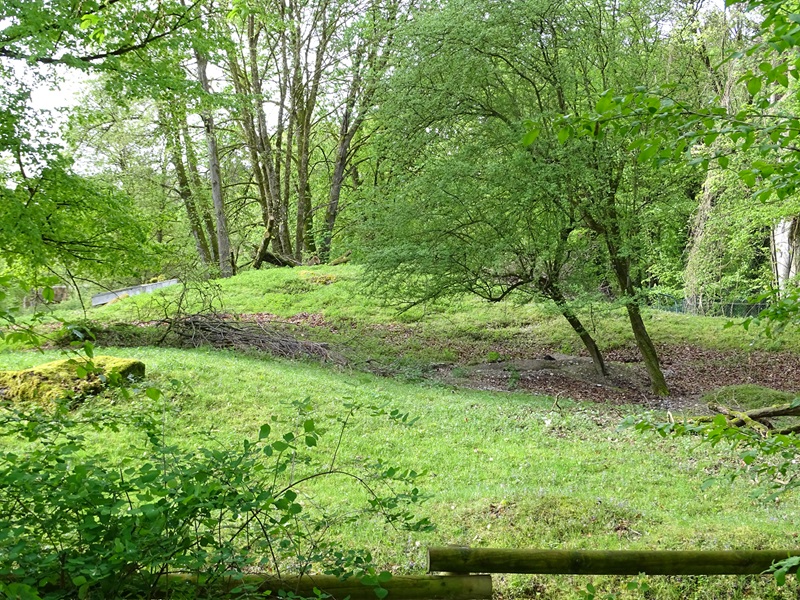 Enclosure for alpine marmot (and previously chamois)