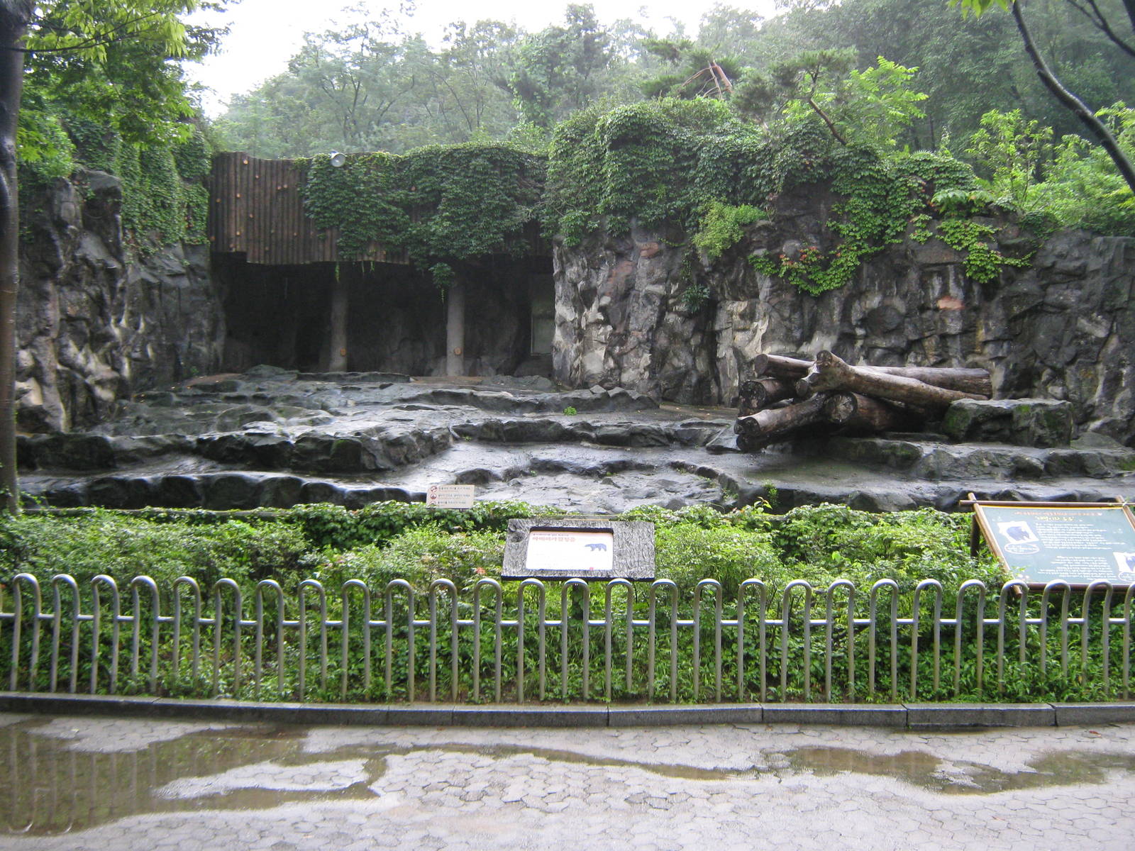 enclosure for American black bear
