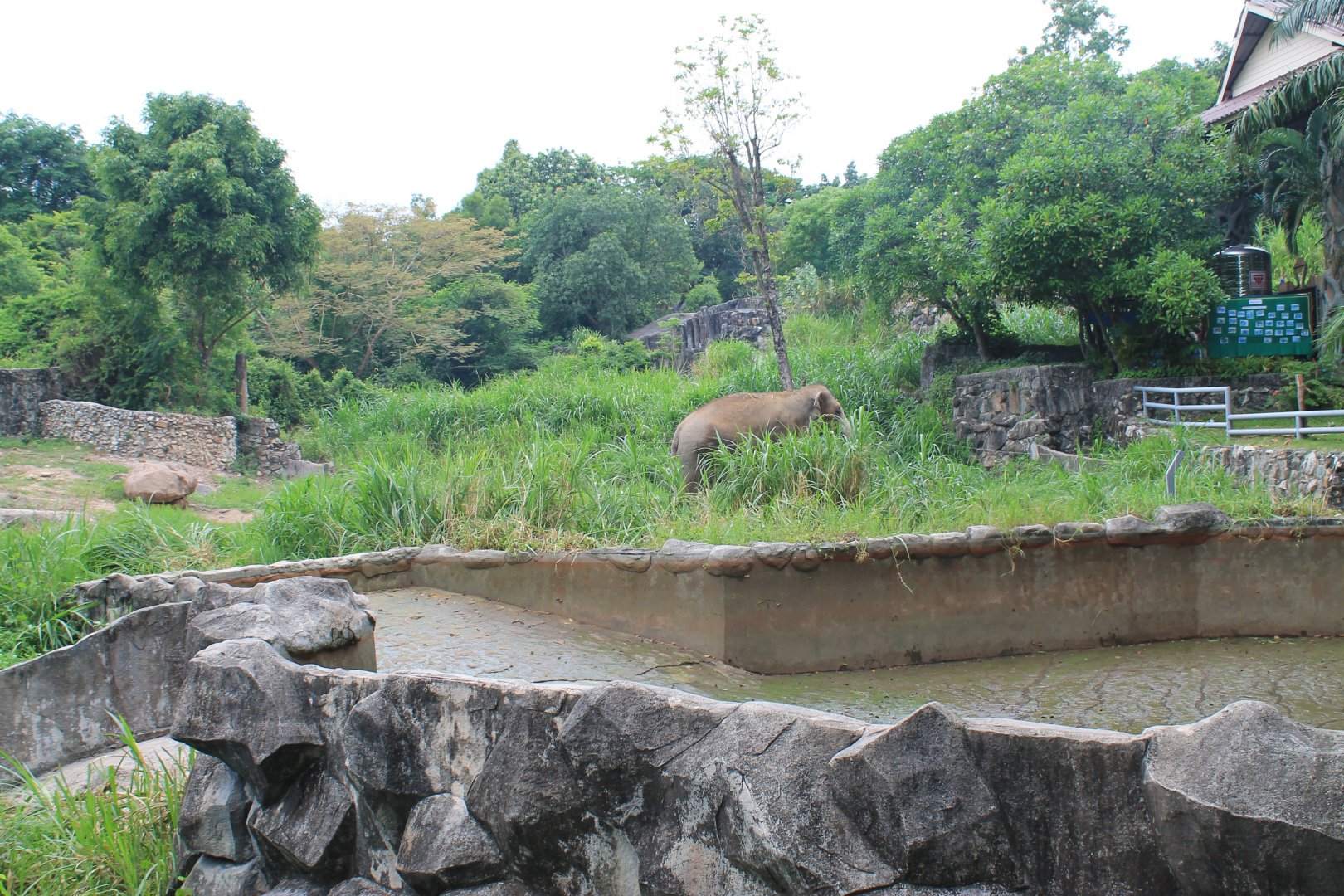 enclosure for Asian Elephants