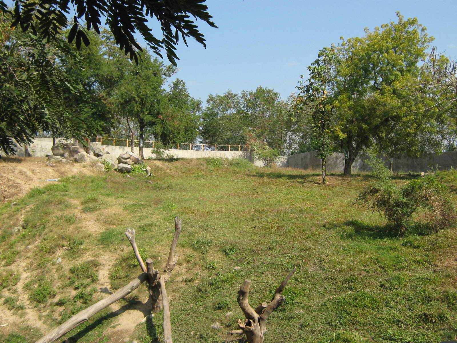 enclosure for Asiatic Black Bear (Ursus thibetanus)