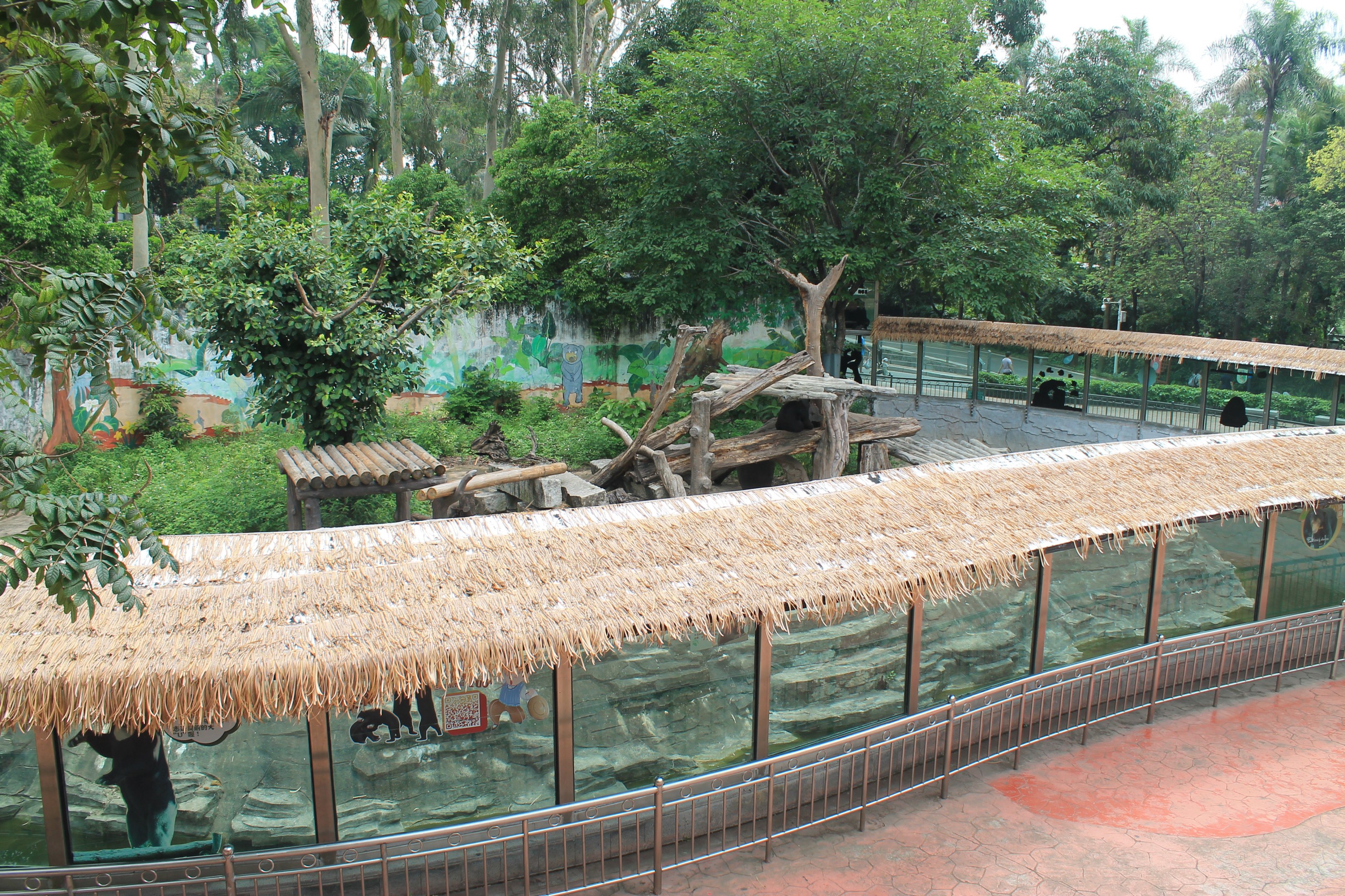 Enclosure for Asiatic Black Bear (Ursus thibetanus)