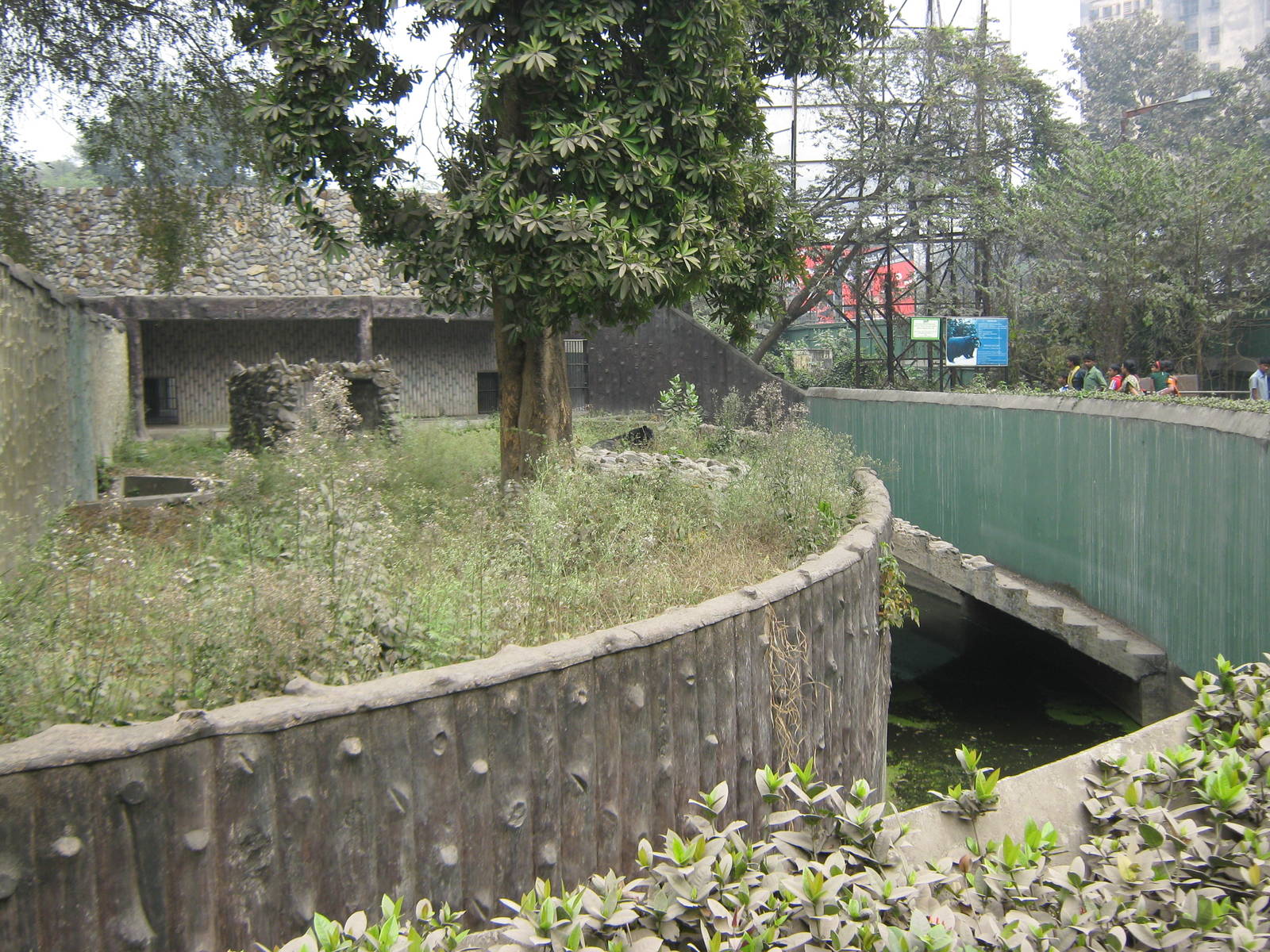 enclosure for Asiatic black bear