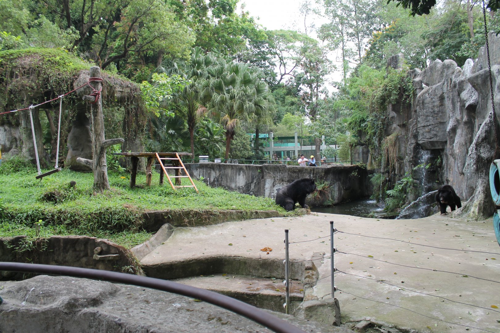 enclosure for Asiatic Black Bears