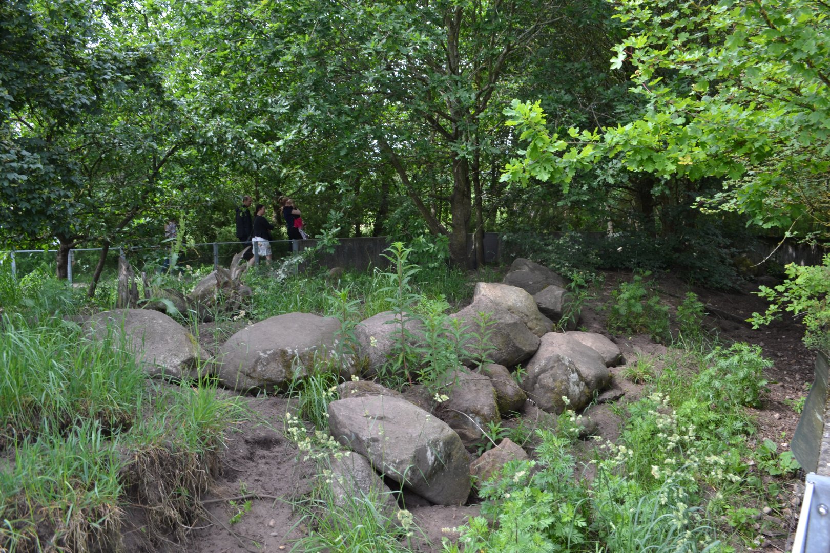 Enclosure for banded mongoose in Givskud Zoo