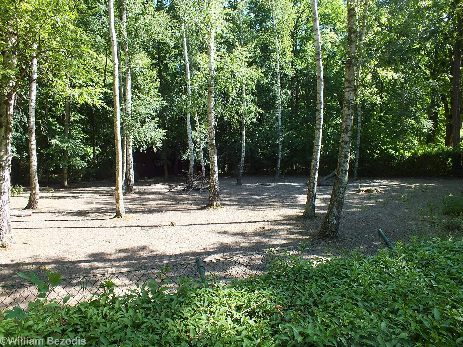 Enclosure for Bawean Deer