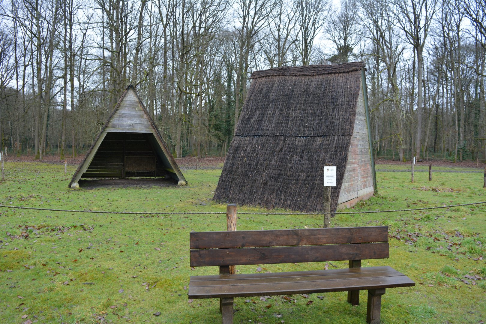 Enclosure for Bennett's wallaby