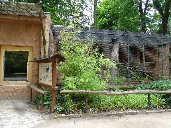 Enclosure for binturong (07/22)