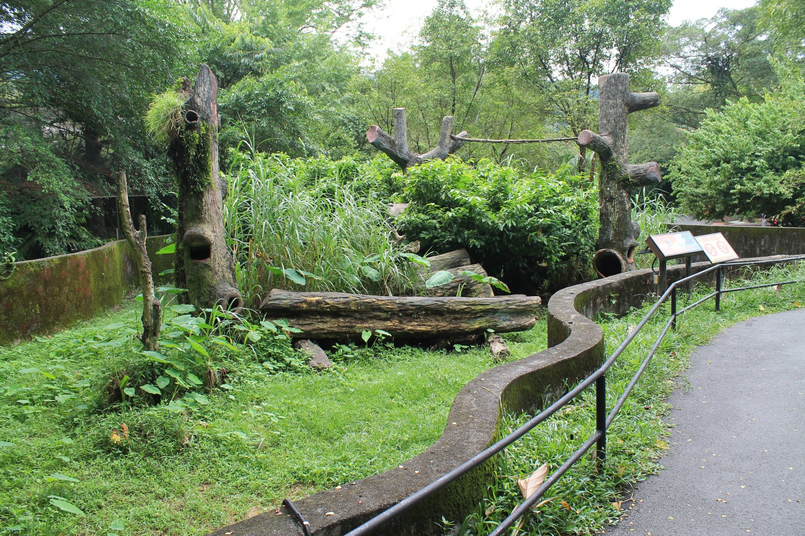 enclosure for Binturong (Arctictis binturong)