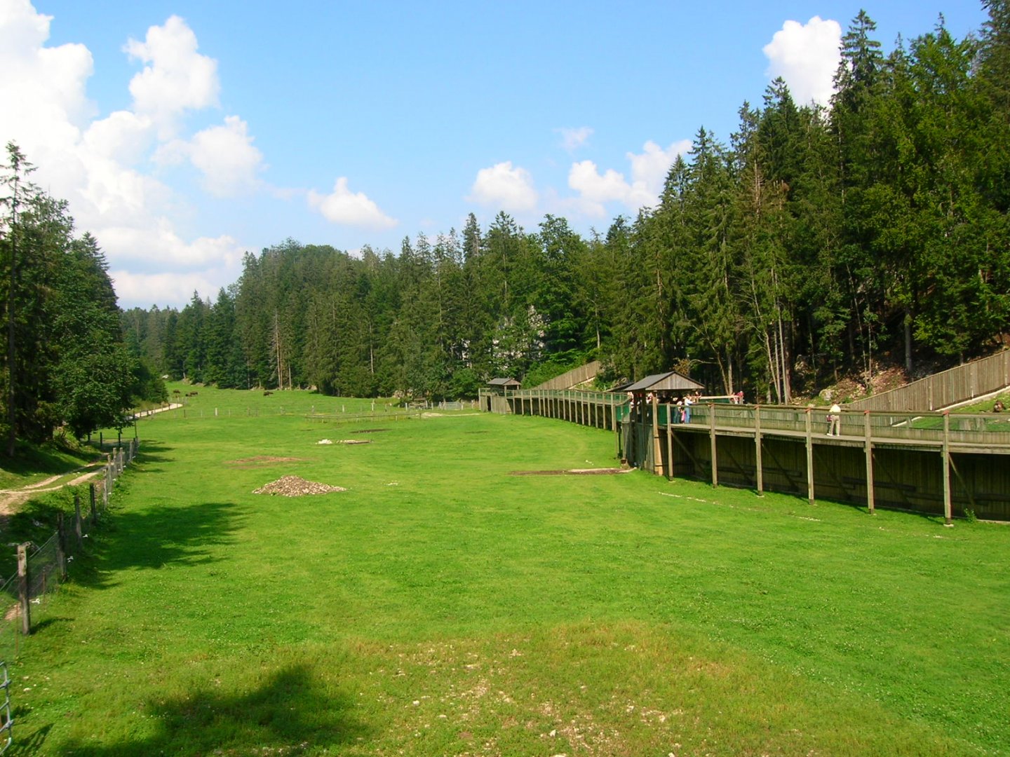 Enclosure for Bison bison