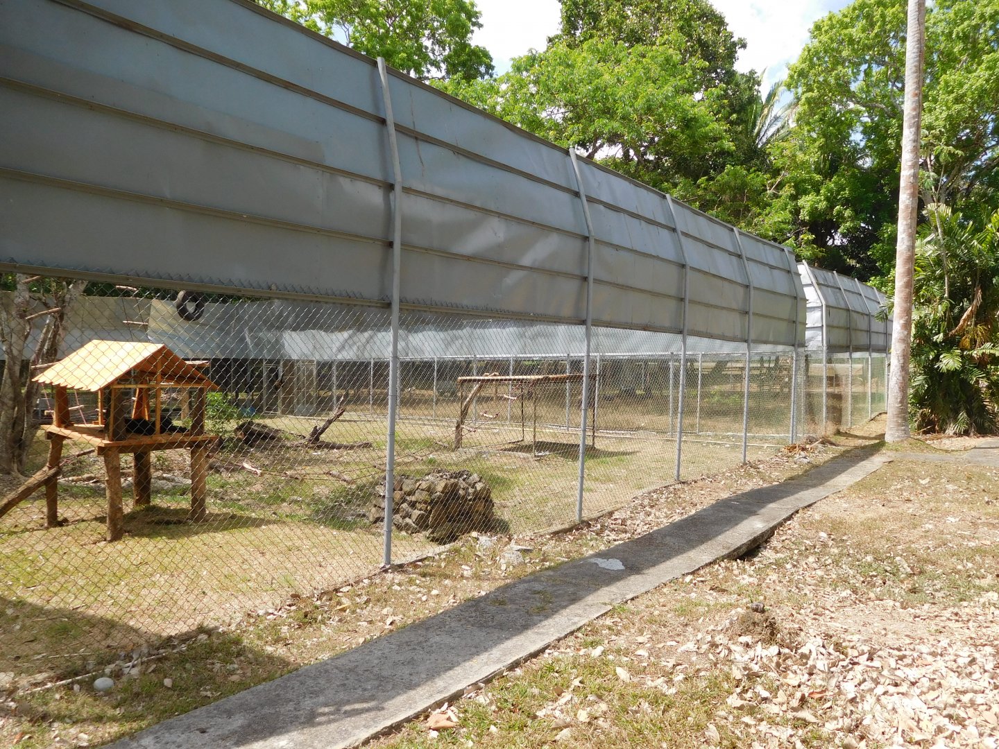 Enclosure for black-handed spider monkeys