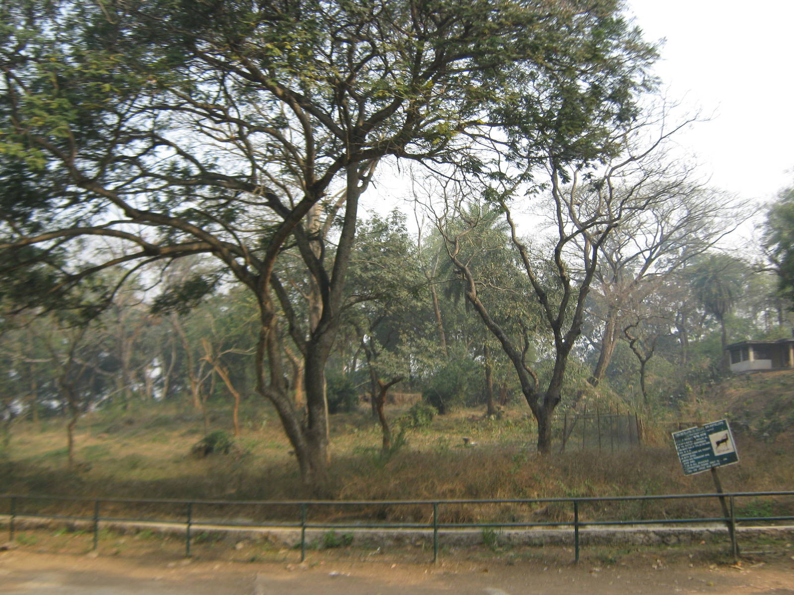 enclosure for blackbuck (Antilope cervicapra)