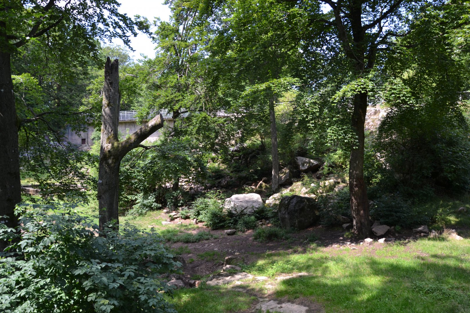 Enclosure for brown bear at Skånes djurpark