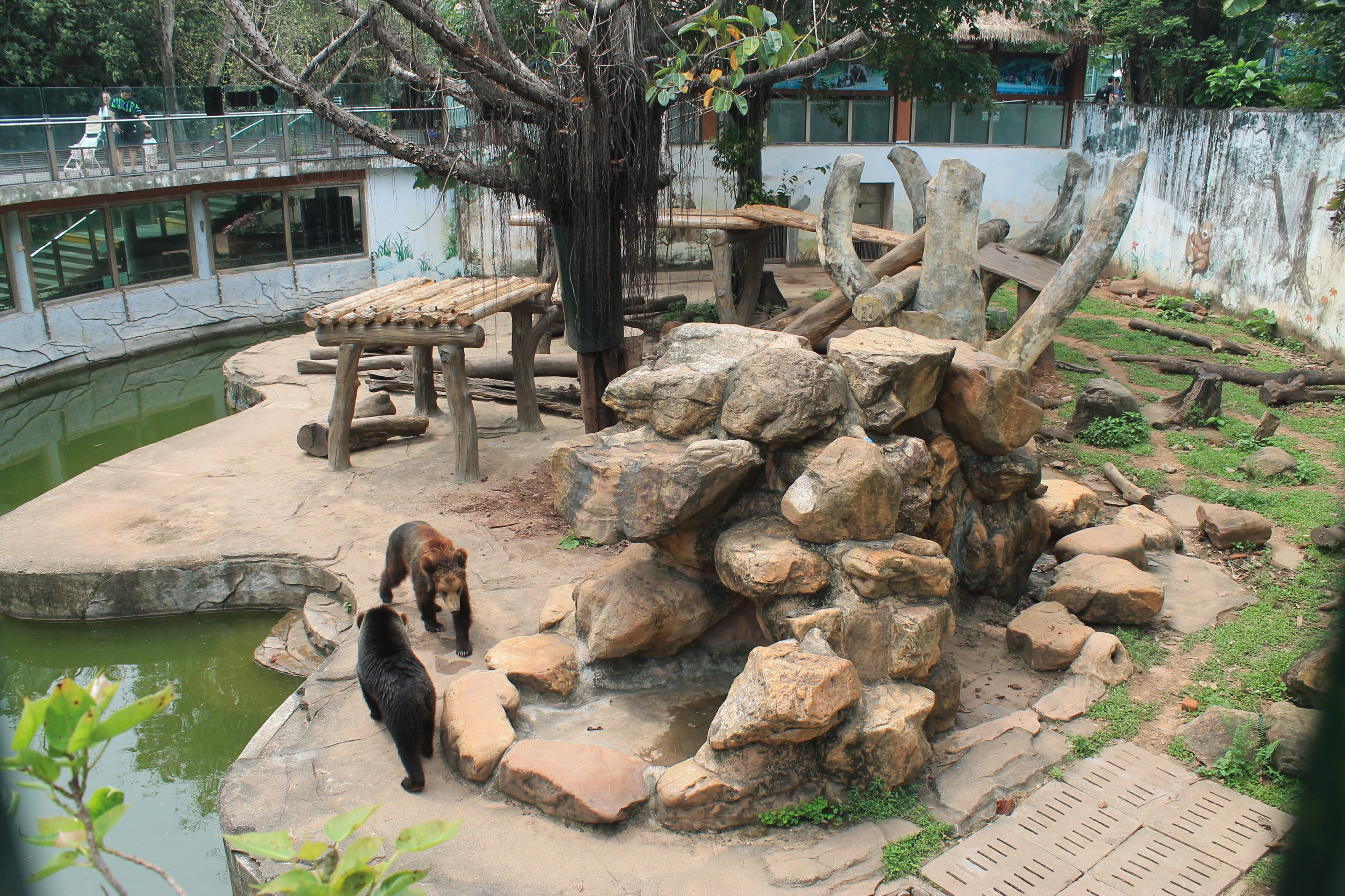 Enclosure for Brown Bear (Ursus arctos)