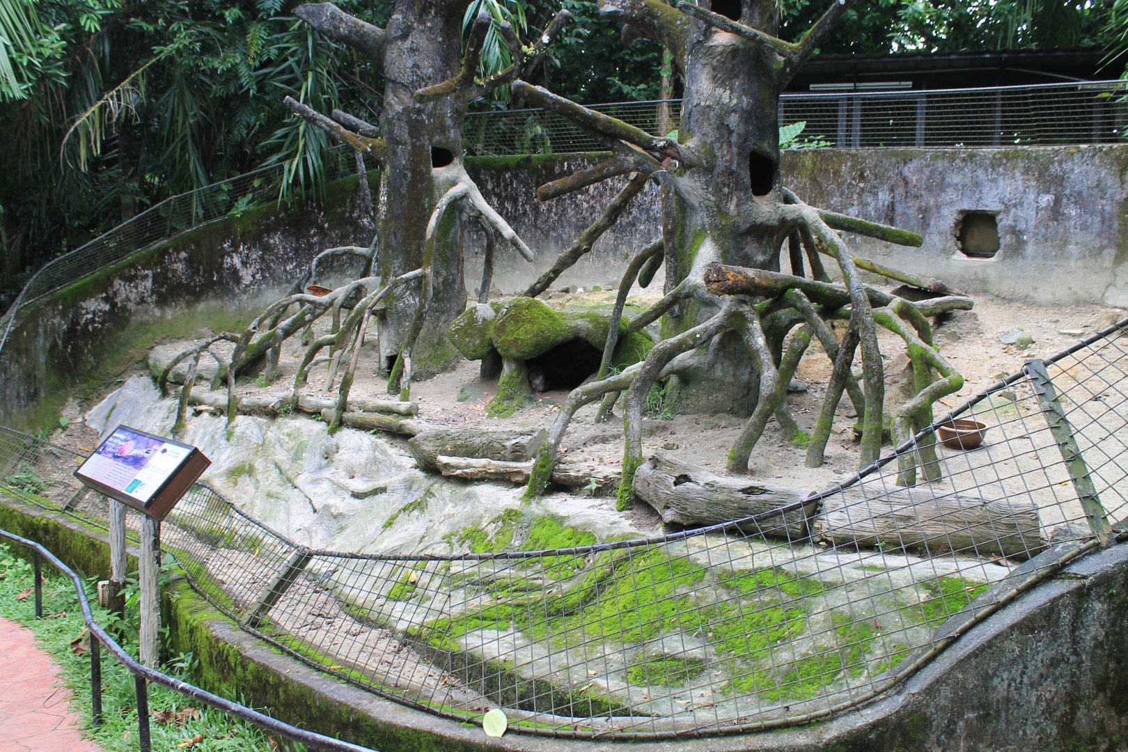 enclosure for Brush-tailed Porcupines (Atherurus macrourus)