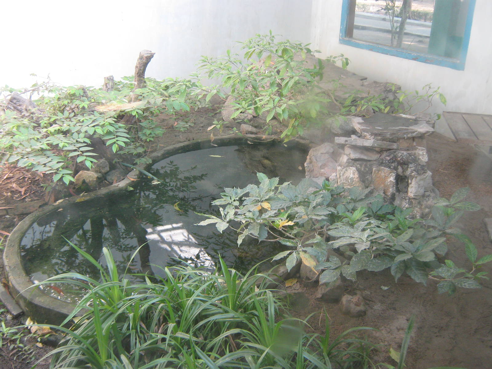 enclosure for Burmese Python