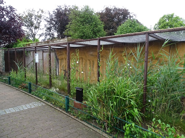 Enclosure for burrowing owl (07/22)