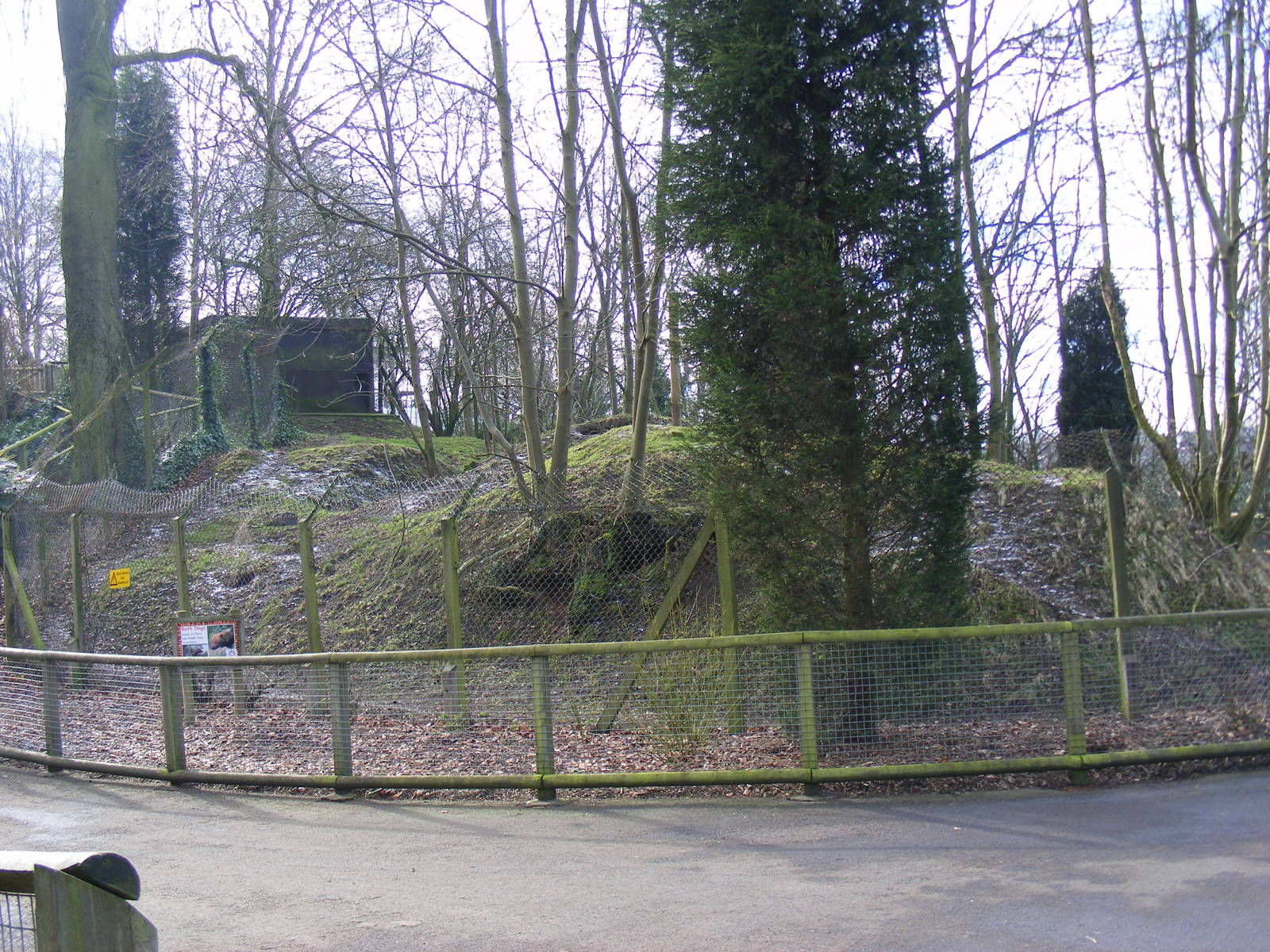 Enclosure for bush dogs at Dudley Zoo, 12 February 2010