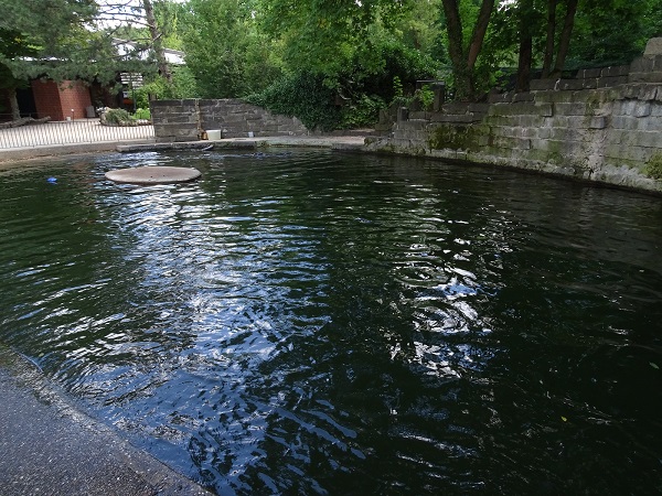 Enclosure for Californian sea lions (07/22)