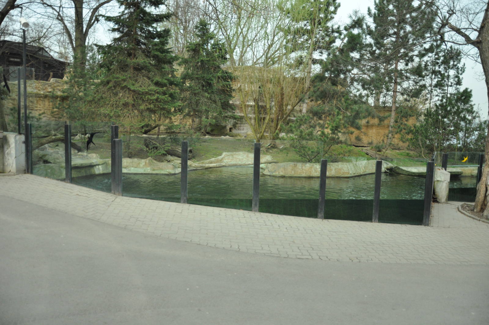 Enclosure for Canadian otter (Lontra canadensis)