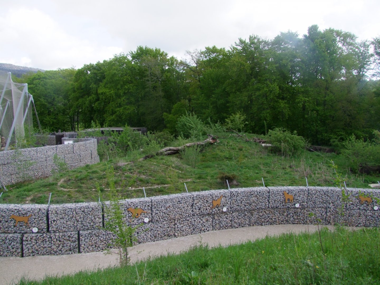 Enclosure for Canis lupus