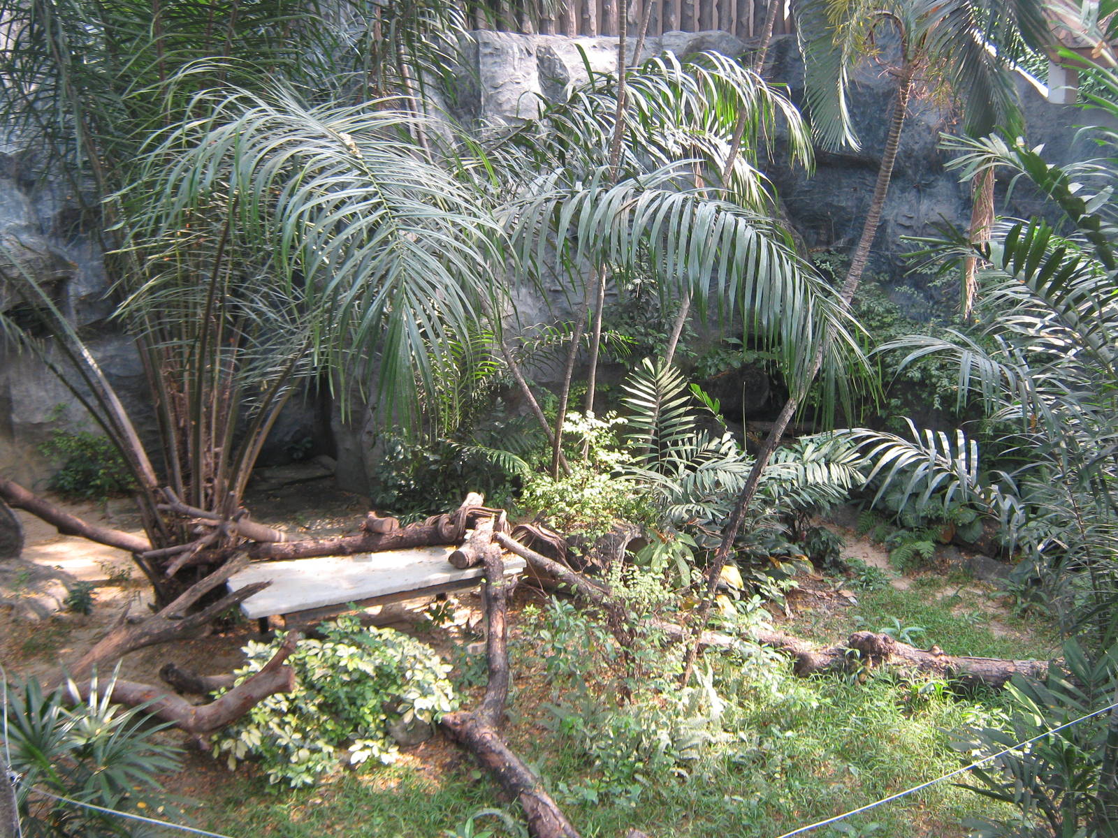 enclosure for caracals