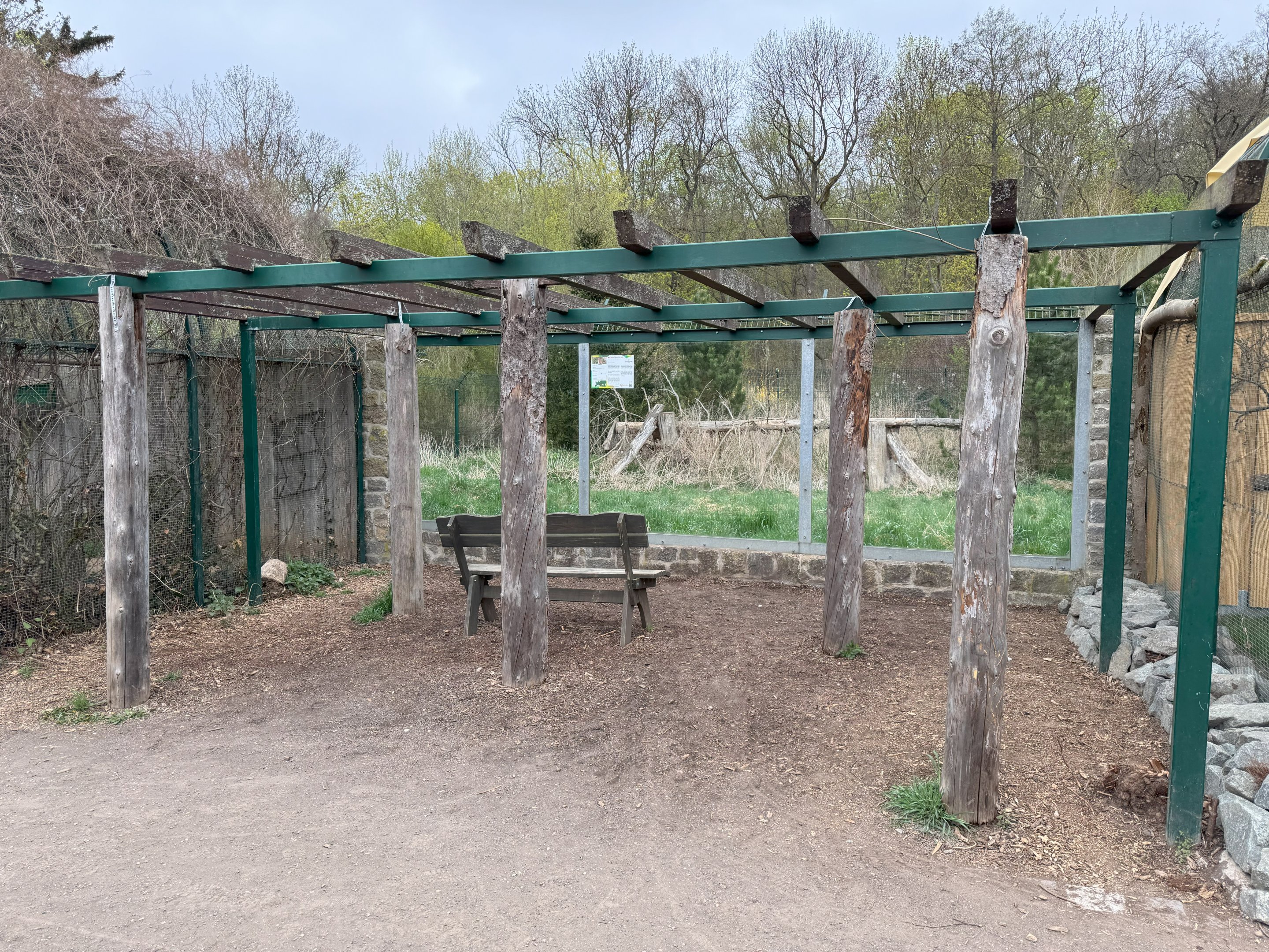 Enclosure for Carpathian lynx (Lynx lynx carpathicus)