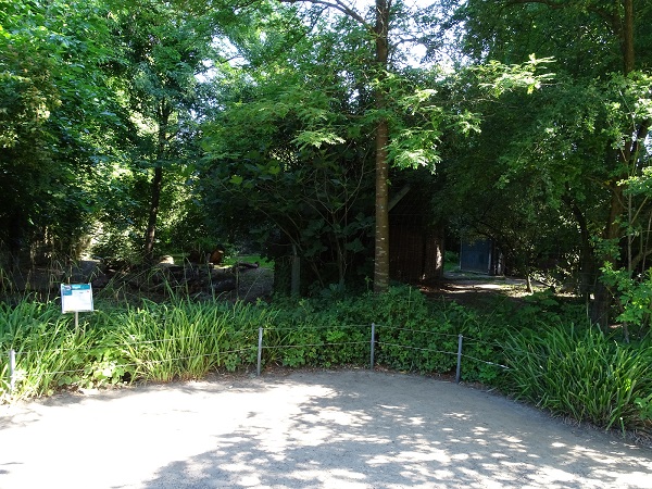 Enclosure for cheetah (07/22)