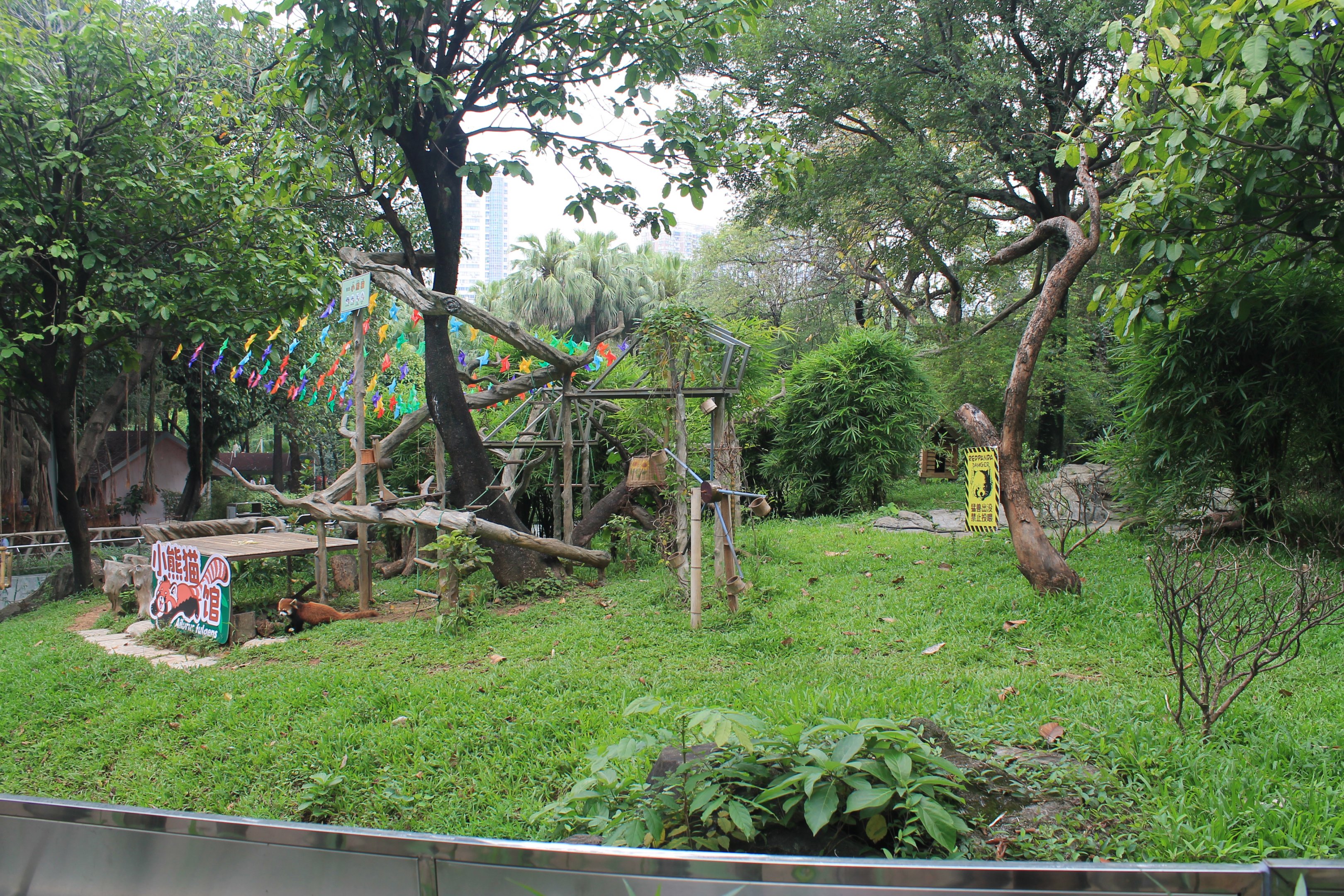 Enclosure for Chinese Red Panda (Ailurus [fulgens] styani)