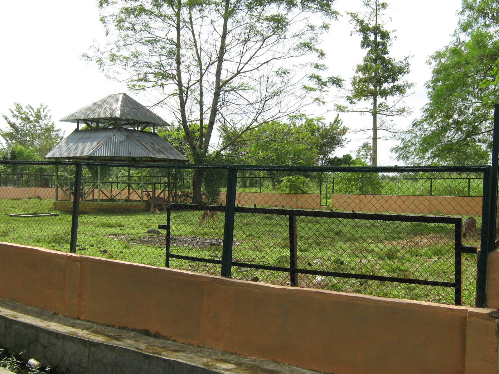 enclosure for chital (Axis axis)