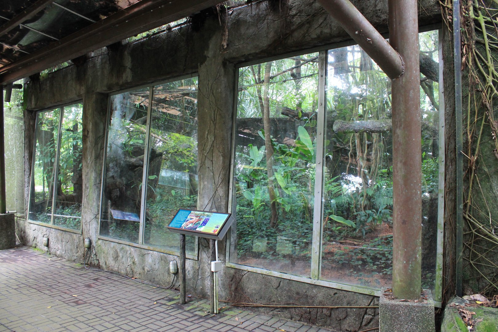 enclosure for Clouded Leopard
