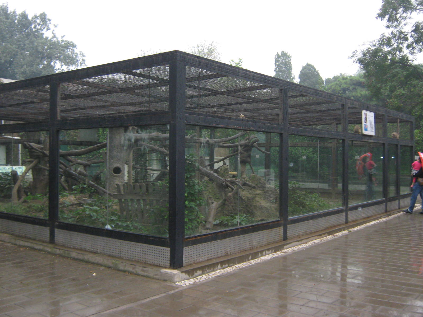 enclosure for coatis (Nasua nasua)